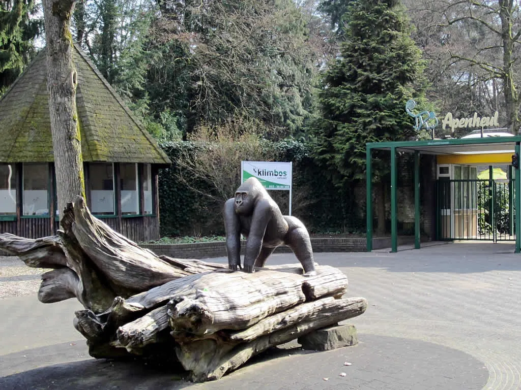 Apenheul bij Putten op de Veluwe