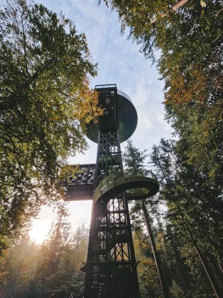 Bostoren Schovenhorst bij Putten op de Veluwe
