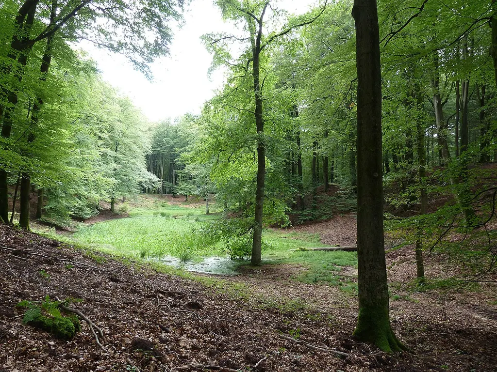 Het Solse Gat bij Putten op de Veluwe