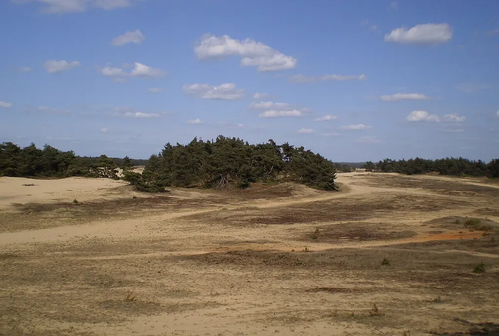 Kootwijkerzand bij Putten op de Veluwe